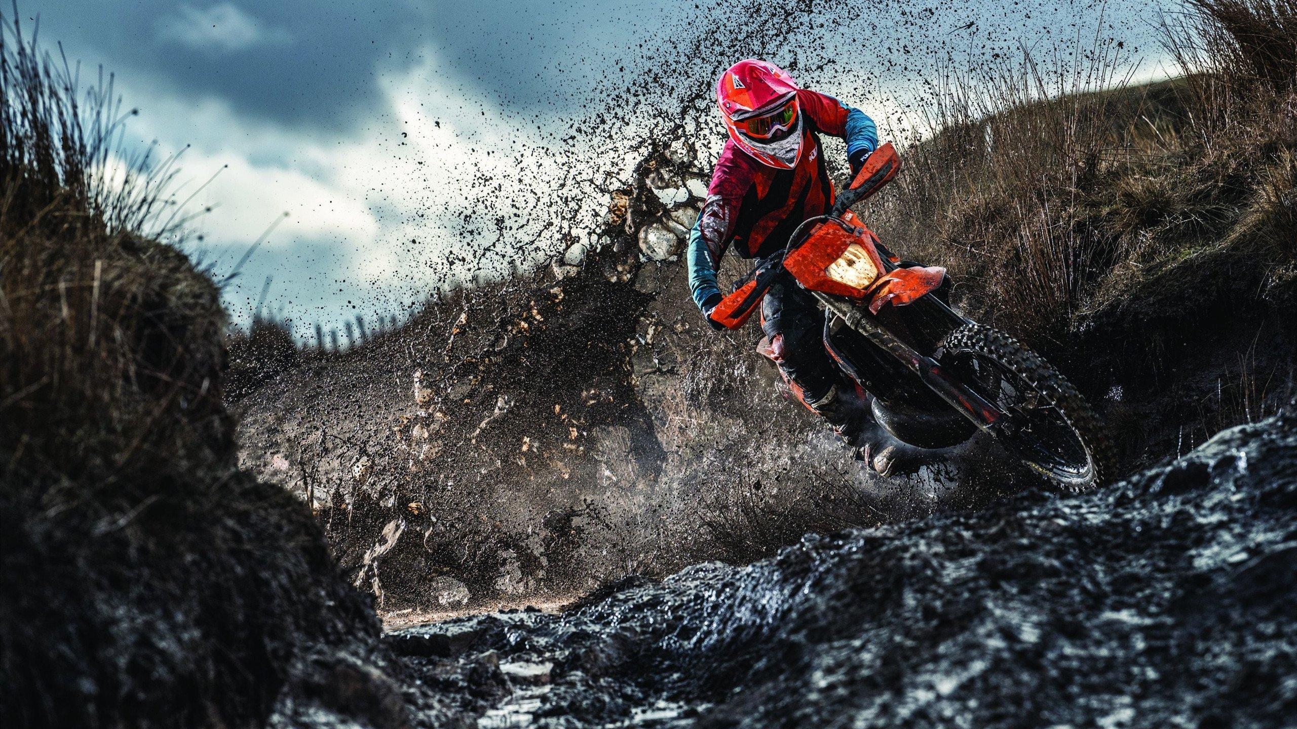 UFC 296上演巅峰对决,莱昂成功卫冕次中量级冠军